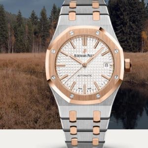 Audemars Piguet Royal Oak SELFWINDING Replica Watch 15450SR.OO.1256SR.01