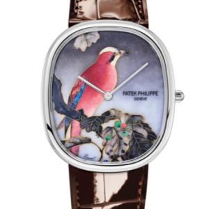 Vintage Patek Philippe Rare Handcrafts Watches for Sale Cheap Price Replica Watch 5738/50G-011 White Gold