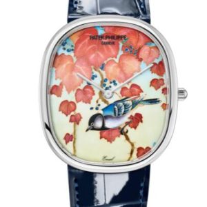 Vintage Patek Philippe Rare Handcrafts Watches for Sale Cheap Price Replica Watch 5738/50G-012 White Gold