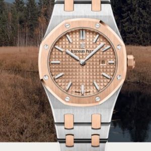 Audemars Piguet Royal Oak Quartz 33mm Replica Watch 67650SR.OO.1261SR.01
