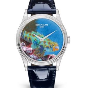 Cheapest Patek Philippe Calatrava 5177G Italian Scenes Tropical Fish Watches Prcies Replica 5177G-013 White Gold